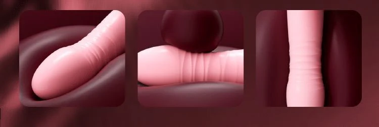 Retractable sucking stick sex toys feminine products - Image 6
